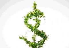 sustentabilidade